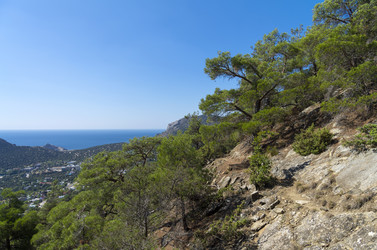 Similar image 21257386