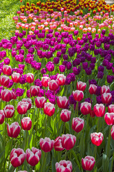 Similar image 21257388