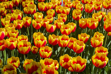 Similar image 21257389