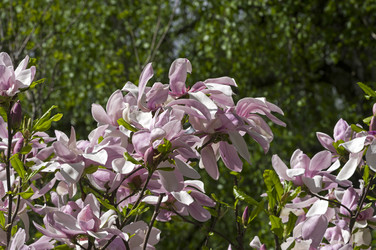 Similar image 21257390