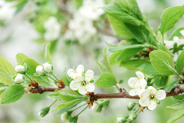 Similar image 21257394