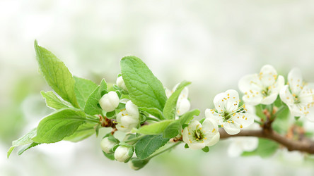 Similar image 21257395