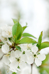 Similar image 21257396