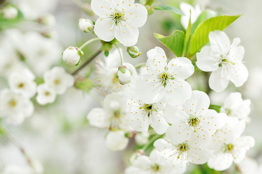 Similar image 21257400