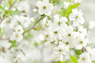 Similar image 21257401