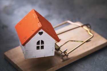 Similar image 21256673