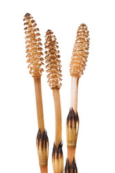 Similar image 21256674