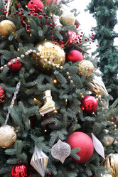 Similar image 21258191