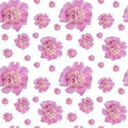 Similar image 21257413