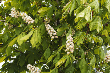 Similar image 21257420