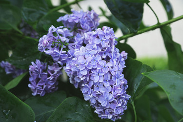 Similar image 21257423