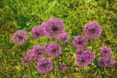 Similar image 21257424