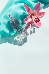 Similar image 21258367