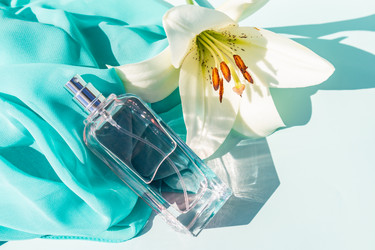 Similar image 21258369