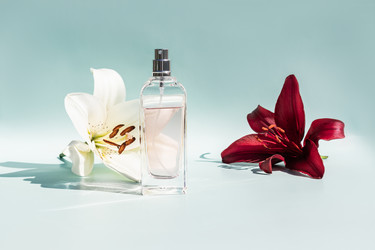 Similar image 21258370