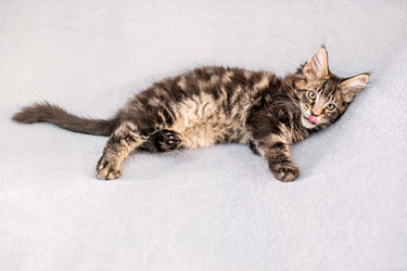 Similar image 21259063