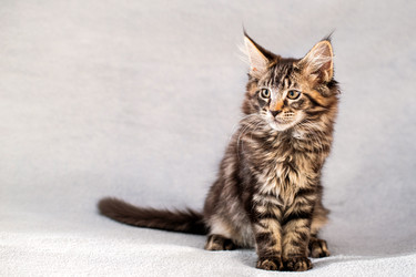 Similar image 21259065