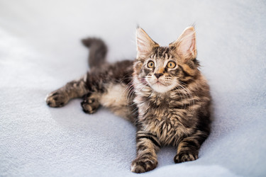 Similar image 21259066