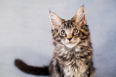 Similar image 21259067