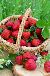 Similar image 21276689