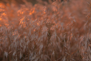 Similar image 21276691