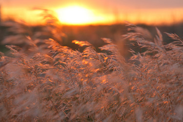 Similar image 21276693