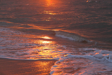 Similar image 21276694