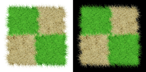 Similar image 21285795