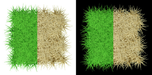 Similar image 21286101