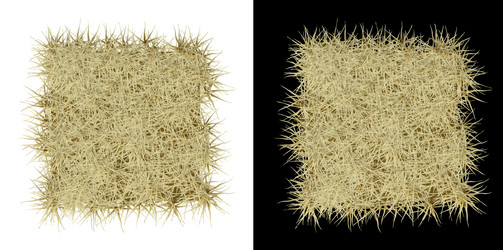 Similar image 21286129