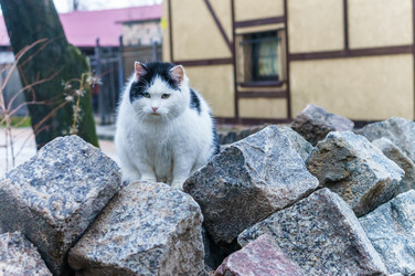 Similar image 21265345