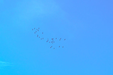 Similar image 21265381