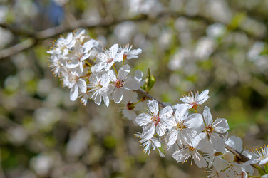 Similar image 21265382