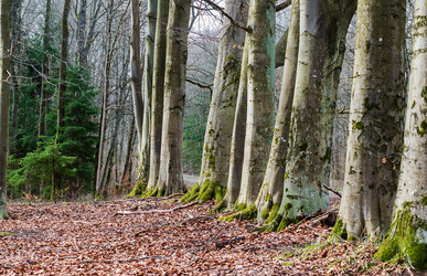 Similar image 21265383