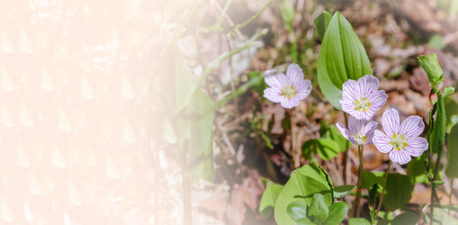 Similar image 21265384