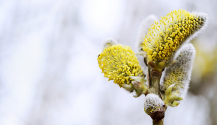 Similar image 21265385