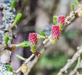 Similar image 21265386