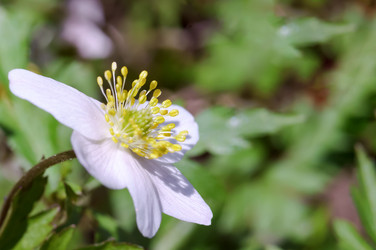 Similar image 21265387