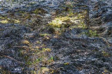 Similar image 21259340