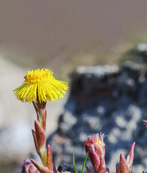 Similar image 21259346