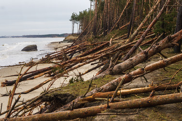 Similar image 21259352