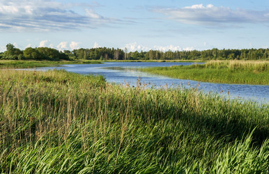 Similar image 21259353