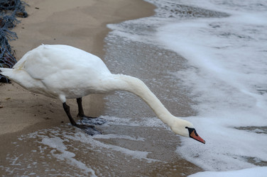 Similar image 21259354