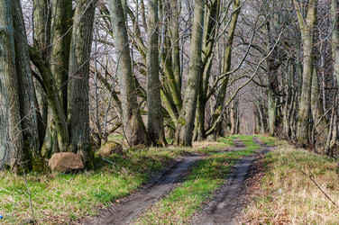 Similar image 21259355