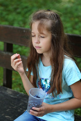 Similar image 21277057