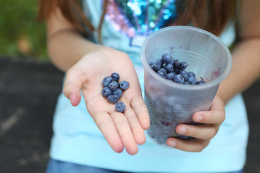 Similar image 21277058