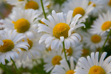 Similar image 21276707