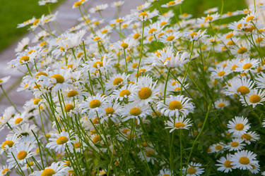 Similar image 21276708