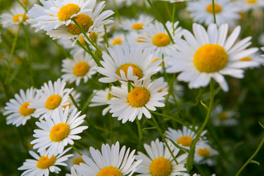 Similar image 21276709