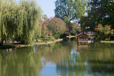 Similar image 21276712